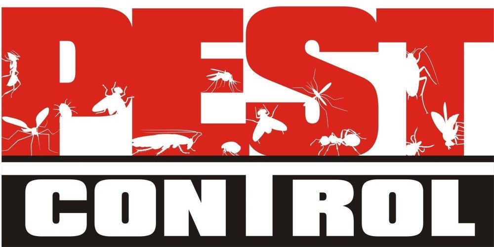 reputed pest control Melbourne