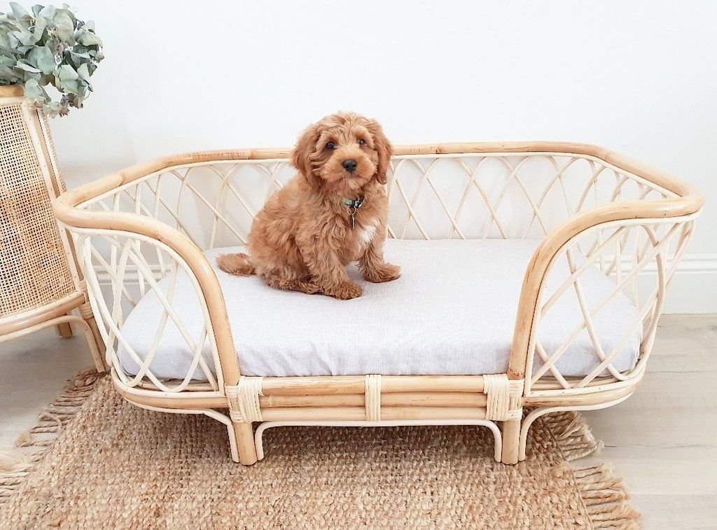 Designer Dog Beds